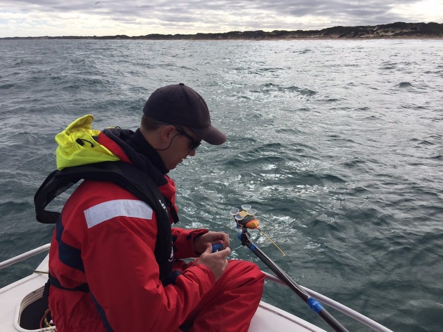 Aυστραλία: Drone κατέγραψε σπάνιο είδος λευκού καρχαρία [εικόνες] | iefimerida.gr 0