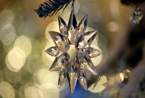 Η Μελάνια αποκάλυψε το χριστουγεννιάτικο ντεκόρ του Λ. Οίκου: 12.000 στολίδια, 53 δέντρα και μπαλαρίνες που χόρευαν [εικόνες & βίντεο] | iefimerida.gr 5