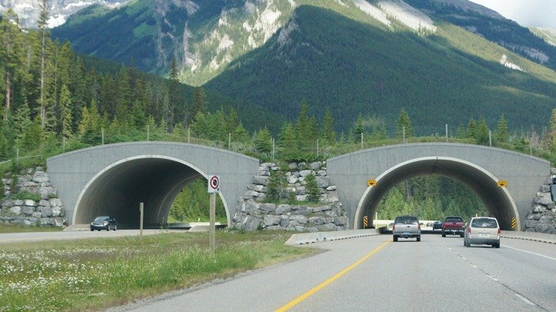 Οταν η φύση αγκαλιάζει την τεχνολογία: Μία υπέροχη συνύπαρξη [εικόνες] | iefimerida.gr 3