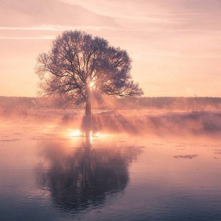 Ροζ-μοβ τοπία στη Λευκορωσία: Εκεί όπου η θερμοκρασία κατρακυλά στους -40 [εικόνες] | iefimerida.gr 3