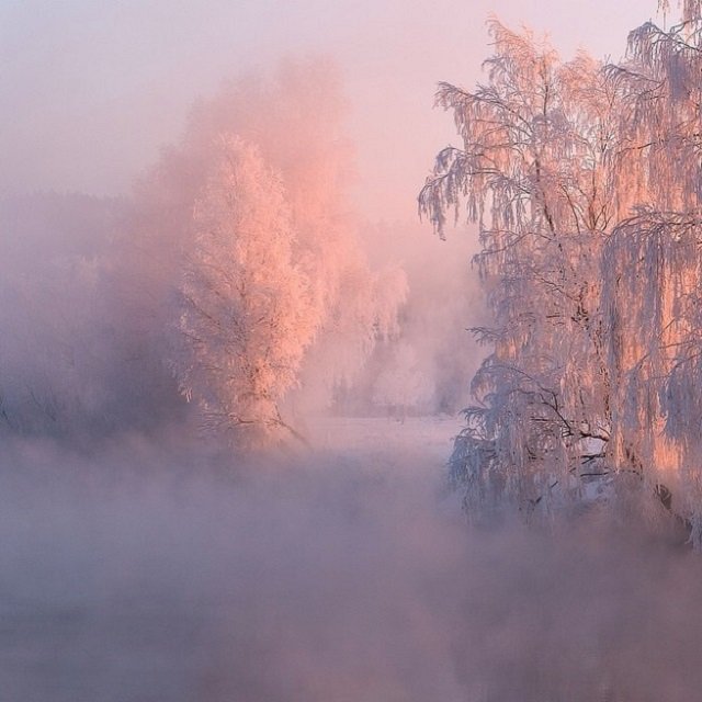 Ροζ-μοβ τοπία στη Λευκορωσία: Εκεί όπου η θερμοκρασία κατρακυλά στους -40 [εικόνες] | iefimerida.gr 4