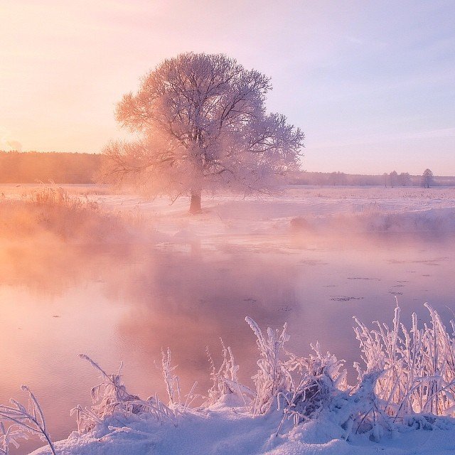 Ροζ-μοβ τοπία στη Λευκορωσία: Εκεί όπου η θερμοκρασία κατρακυλά στους -40 [εικόνες] | iefimerida.gr 6