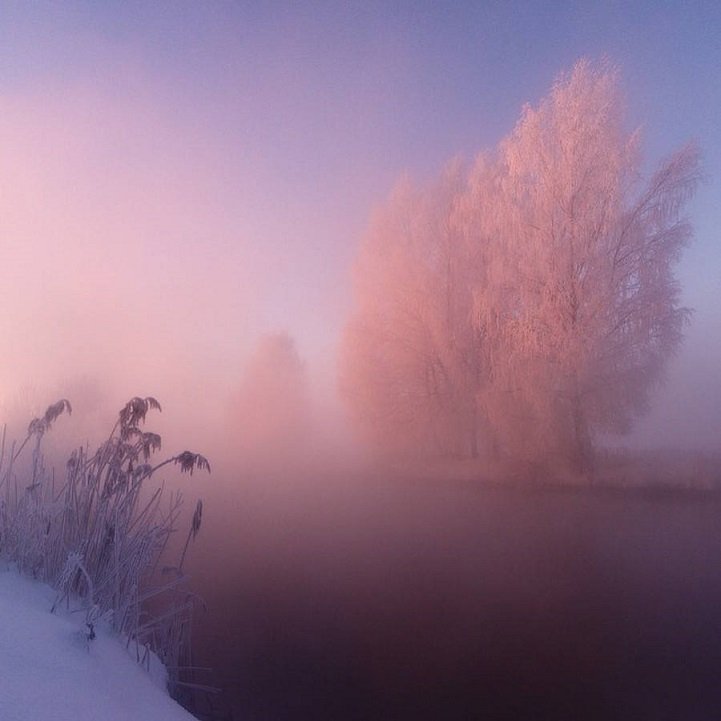 Ροζ-μοβ τοπία στη Λευκορωσία: Εκεί όπου η θερμοκρασία κατρακυλά στους -40 [εικόνες] | iefimerida.gr 8