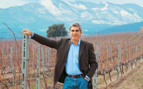 Φωνές οινοποιών κατά της κυβέρνησης: Θάβουν το κρασί την ώρα που βγαίνει στη διεθνή αγορά | iefimerida.gr 1