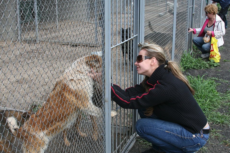 Πώς να ξεβαλτώσεις -Τα 14 πράγματα που μπορείς να κάνεις [λίστα] | iefimerida.gr 6