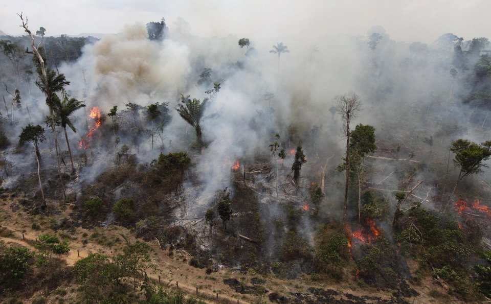 Μαύρες προβλέψεις: 15 λόγοι που δείχνουν ότι ο πλανήτης μας θα είναι τρομακτικός το 2050 [εικόνες] | iefimerida.gr 5