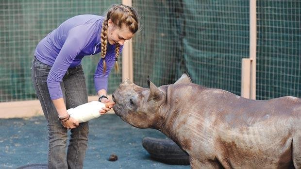 Ιδρύθηκε στην Νότια Αφρική το πρώτο ορφανοτροφείο για... ρινόκερους [βίντεο] | iefimerida.gr 0