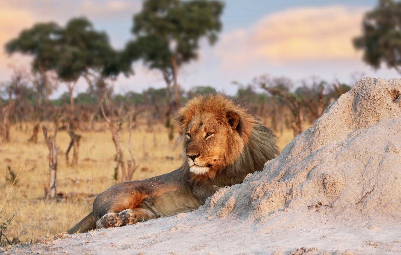 WWF: Η Ελλάδα παράγει κάθε χρόνο ένα υπέρογκο «οικολογικό χρέος» -Τι είναι αυτό | iefimerida.gr 1