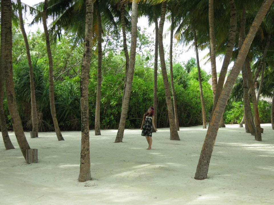 Ενα διαμάντι στις Μαλδίβες -Οι επισκέπτες ψήφισαν το καλύτερο ξενοδοχείο το κόσμου [εικόνες] | iefimerida.gr 2