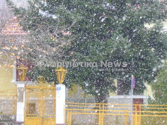 Επεσαν τα πρώτα χιόνια σε Φλώρινα και Κοζάνη [εικόνες & βίντεο] | iefimerida.gr 0