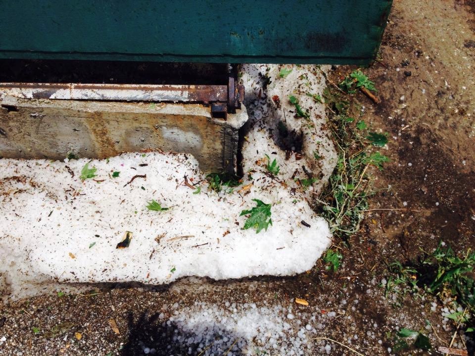 «Χιονισμένο» τοπίο στη Λάρισα – Σφοδρή χαλαζόπτωση «σκέπασε» το Μακρυχώρι [εικόνες]  | iefimerida.gr 2