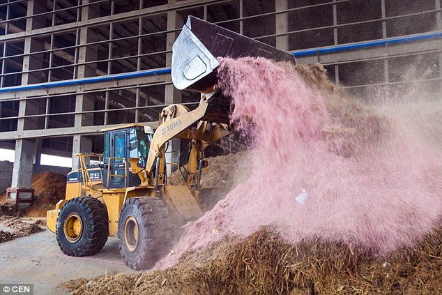 Στην Κίνα καίνε χαρτονομίσματα -Παράγουν ενέργεια και φωτίζουν μια ολόκληρη πόλη [εικόνες]  | iefimerida.gr 4