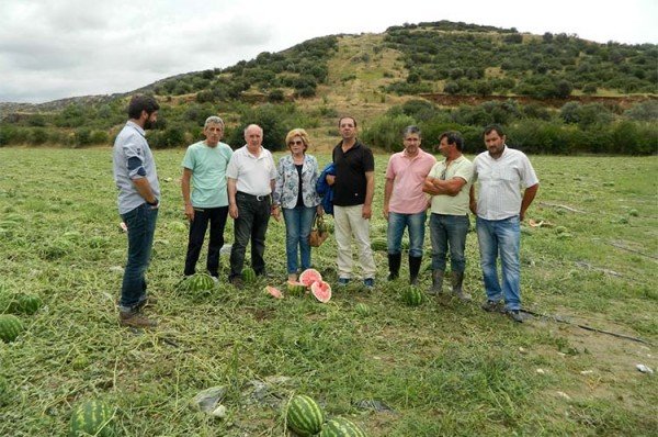 «Χιονισμένο» τοπίο στη Λάρισα – Σφοδρή χαλαζόπτωση «σκέπασε» το Μακρυχώρι [εικόνες]  | iefimerida.gr 4