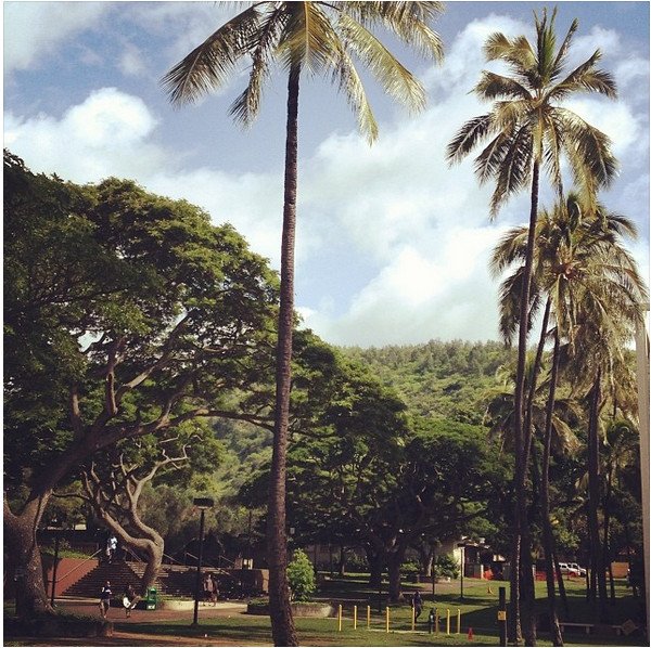 Πώς είναι να είσαι φοιτητής στη Χαβάη -Μαγευτικές εικόνες πέρα από κάθε φαντασία [εικόνες]  | iefimerida.gr 0