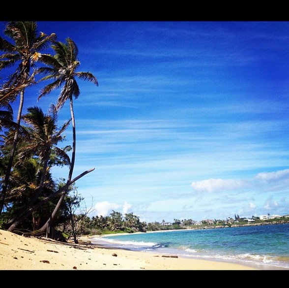 Πώς είναι να είσαι φοιτητής στη Χαβάη -Μαγευτικές εικόνες πέρα από κάθε φαντασία [εικόνες]  | iefimerida.gr 4