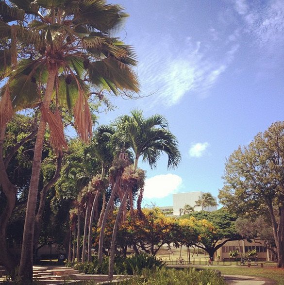 Πώς είναι να είσαι φοιτητής στη Χαβάη -Μαγευτικές εικόνες πέρα από κάθε φαντασία [εικόνες]  | iefimerida.gr 6