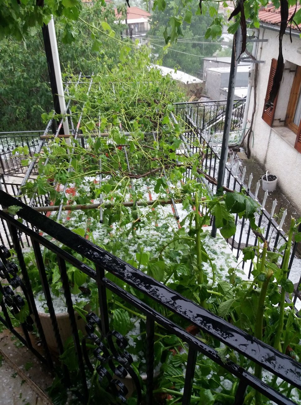 Ανοιξαν οι ουρανοί στην Αρκαδία -Χαλαζοθύελλα σάρωσε το χωριό Ασέα [εικόνες & βίντεο] | iefimerida.gr 2