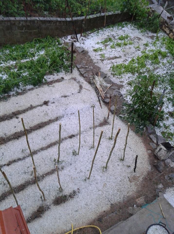 Ανοιξαν οι ουρανοί στην Αρκαδία -Χαλαζοθύελλα σάρωσε το χωριό Ασέα [εικόνες & βίντεο] | iefimerida.gr 0