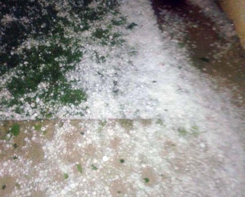 «Kαλοκαιρινό» χαλάζι σάρωσε τα Τέμπη προκαλώντας ζημιές [εικόνες] | iefimerida.gr 1