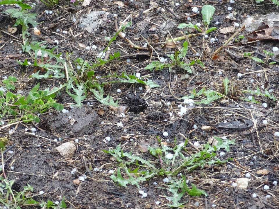 Δυνατό μπουρίνι στα Γιάννενα -Χαλάζι στα ορεινά [εικόνες] | iefimerida.gr 0