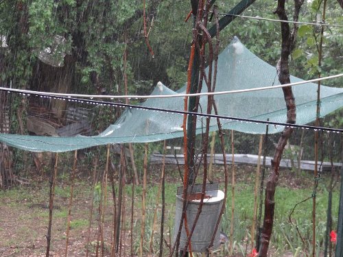 Δυνατό μπουρίνι στα Γιάννενα -Χαλάζι στα ορεινά [εικόνες] | iefimerida.gr 1