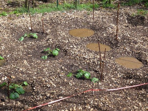 Δυνατό μπουρίνι στα Γιάννενα -Χαλάζι στα ορεινά [εικόνες] | iefimerida.gr 2
