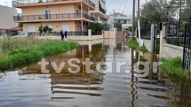 Πλημμυρισμένοι εδώ και τρεις μήνες οικισμοί στη Χαλκίδα -Γέμισαν σκνίπες και κουνούπια [εικόνες] | iefimerida.gr 4