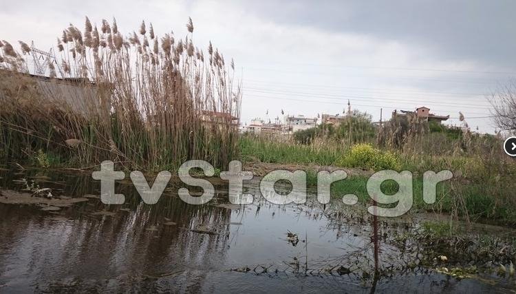 Πλημμυρισμένοι εδώ και τρεις μήνες οικισμοί στη Χαλκίδα -Γέμισαν σκνίπες και κουνούπια [εικόνες] | iefimerida.gr 3