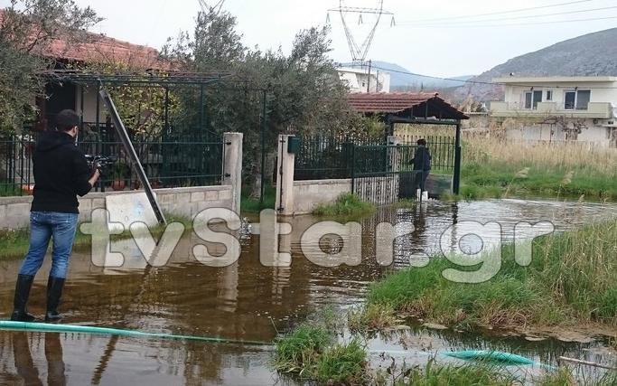Πλημμυρισμένοι εδώ και τρεις μήνες οικισμοί στη Χαλκίδα -Γέμισαν σκνίπες και κουνούπια [εικόνες] | iefimerida.gr 1