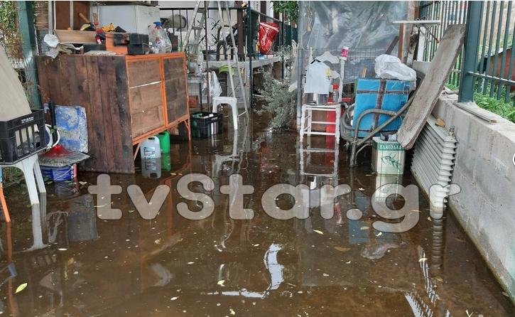 Πλημμυρισμένοι εδώ και τρεις μήνες οικισμοί στη Χαλκίδα -Γέμισαν σκνίπες και κουνούπια [εικόνες] | iefimerida.gr 2