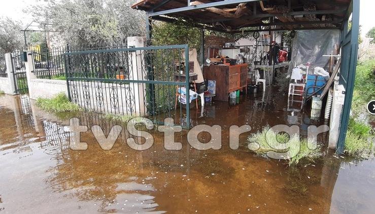 Πλημμυρισμένοι εδώ και τρεις μήνες οικισμοί στη Χαλκίδα -Γέμισαν σκνίπες και κουνούπια [εικόνες] | iefimerida.gr 0