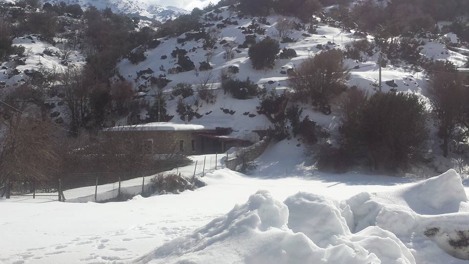 Επέλαση του χιονιά στην Κρήτη -Χωρίς ρεύμα πολλές περιοχές [εικόνες]  | iefimerida.gr 2