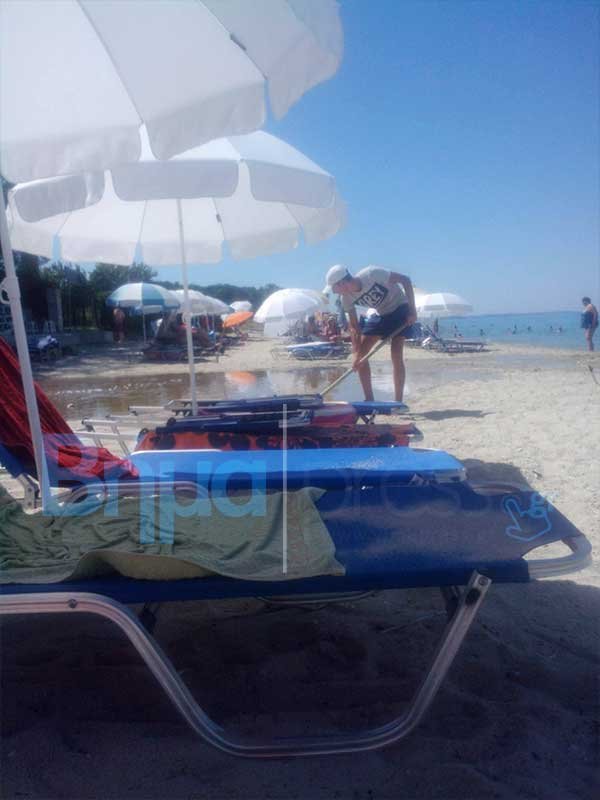 Απίστευτες εικόνες στη Χαλκιδική: Βοθρολύματα σε κοσμική παραλία [εικόνες] | iefimerida.gr 0