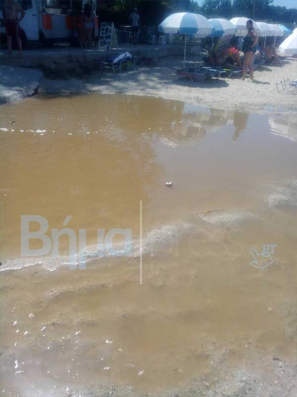 Απίστευτες εικόνες στη Χαλκιδική: Βοθρολύματα σε κοσμική παραλία [εικόνες] | iefimerida.gr 1