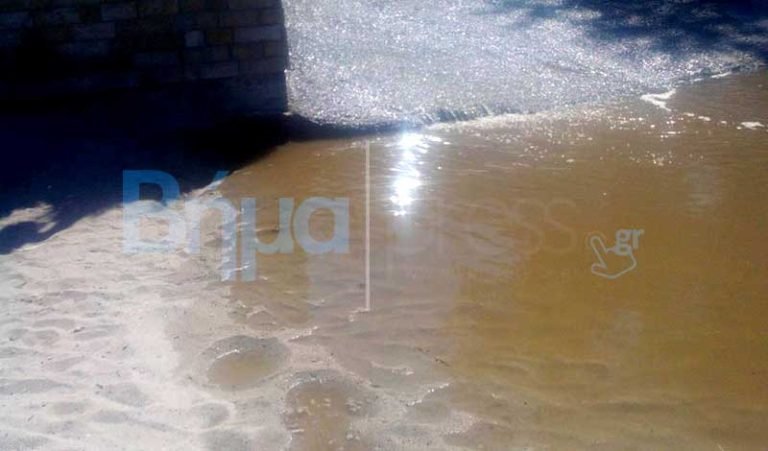 Απίστευτες εικόνες στη Χαλκιδική: Βοθρολύματα σε κοσμική παραλία [εικόνες] | iefimerida.gr 2