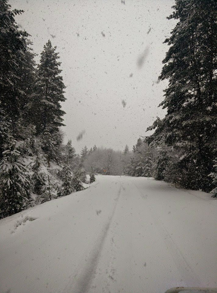 Κατάλευκο το τοπίο στην Ξάνθη: Μεγάλη Πέμπτη με χιόνια και πολικές θερμοκρασίες [εικόνες] | iefimerida.gr 3