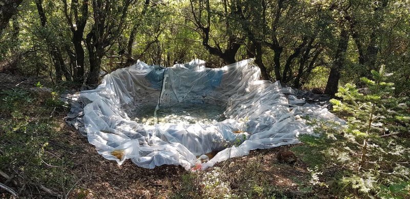 Αχαΐα: Βρήκαν φυτεία με 1.750 δενδρύλλια χασίς -Τρεις συλλήψεις [εικόνες & βίντεο] | iefimerida.gr 2