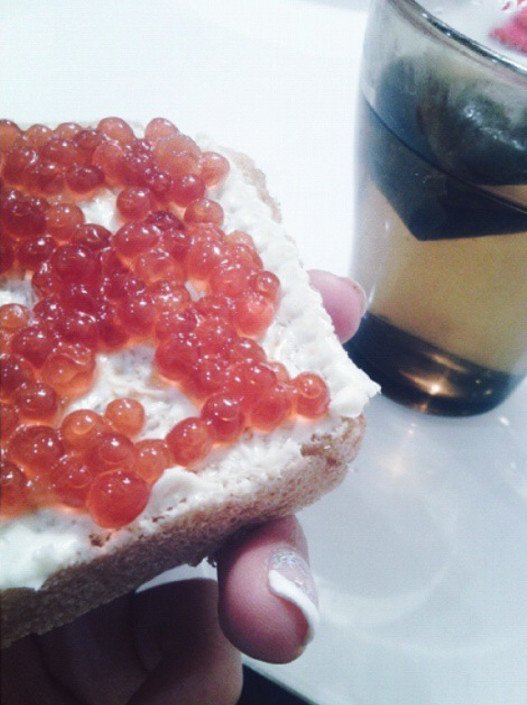 Οι Ρώσοι χλευάζουν τους Δυτικούς: Δεν γίναμε φτωχοί, έτσι σπαταλάμε το χαβιάρι, το δίνουμε και στα γατιά [εικόνες] | iefimerida.gr 1