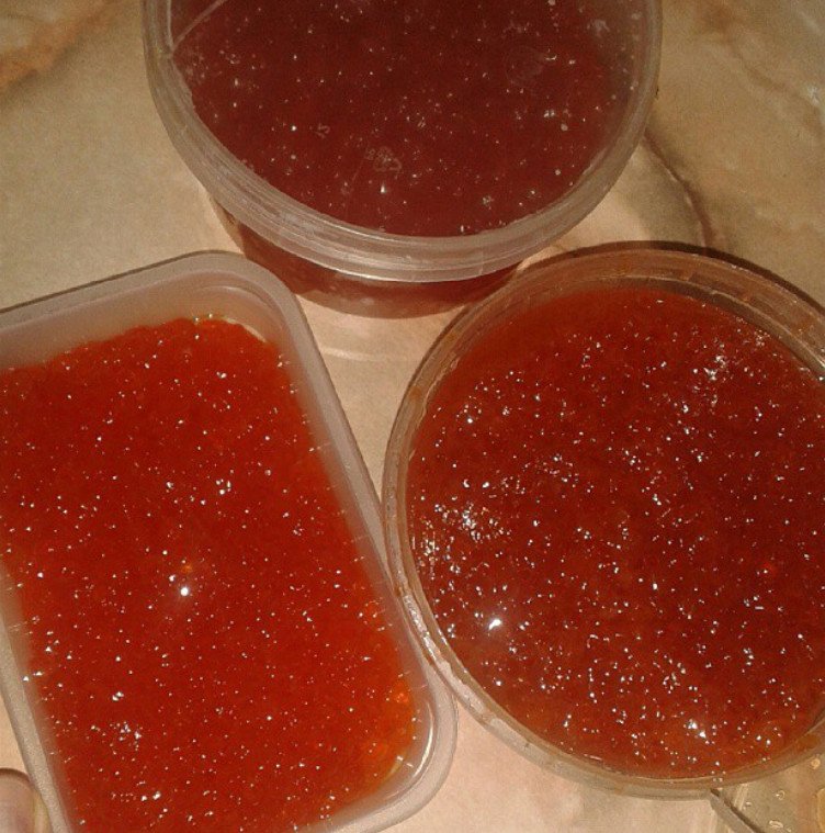 Οι Ρώσοι χλευάζουν τους Δυτικούς: Δεν γίναμε φτωχοί, έτσι σπαταλάμε το χαβιάρι, το δίνουμε και στα γατιά [εικόνες] | iefimerida.gr 2