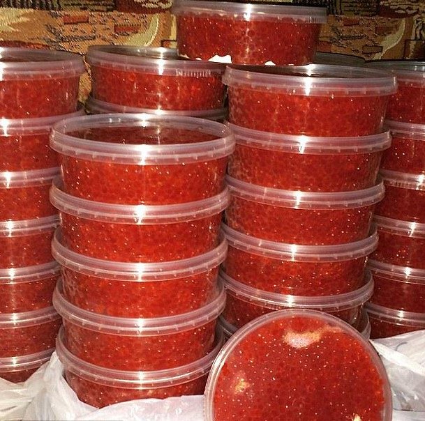 Οι Ρώσοι χλευάζουν τους Δυτικούς: Δεν γίναμε φτωχοί, έτσι σπαταλάμε το χαβιάρι, το δίνουμε και στα γατιά [εικόνες] | iefimerida.gr 3