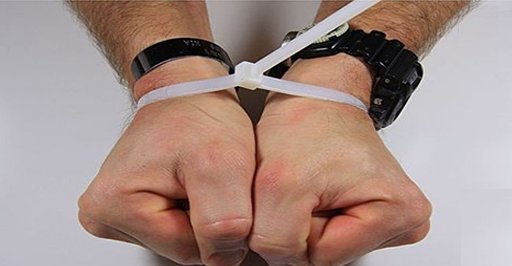 Υπουργείο Προστασίας του Πολίτη: Οι μετανάστες μεταφέρθηκαν με πλαστικό μίας χρήσης, όχι με χειροπέδες | iefimerida.gr 0