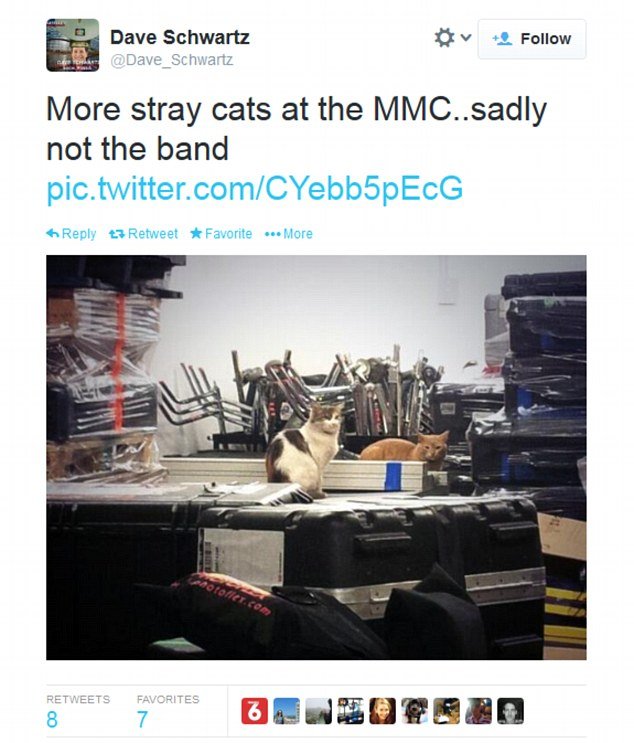 «Χρυσό» Σότσι: Ξενοδοχεία του τρόμου και της αηδίας -Καφέ νερό, μαρμελάδες με έντομα και χώροι αχούρια [εικόνες] | iefimerida.gr 5