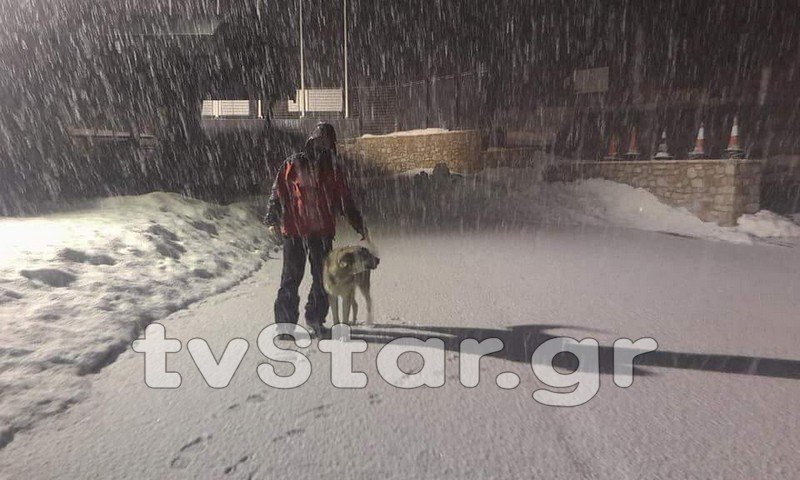 Εντονη χιονόπτωση στον Παρνασσό [εικόνες & βίντεο] | iefimerida.gr 0