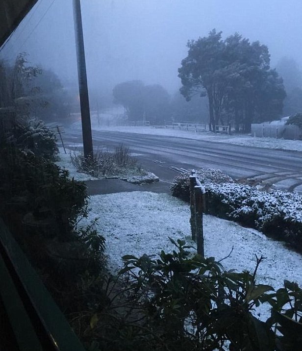 Χιόνισε στην Αυστραλία ένα μήνα πριν το καλοκαίρι - Το πρωινό έκπληξη [εικόνες] | iefimerida.gr 1