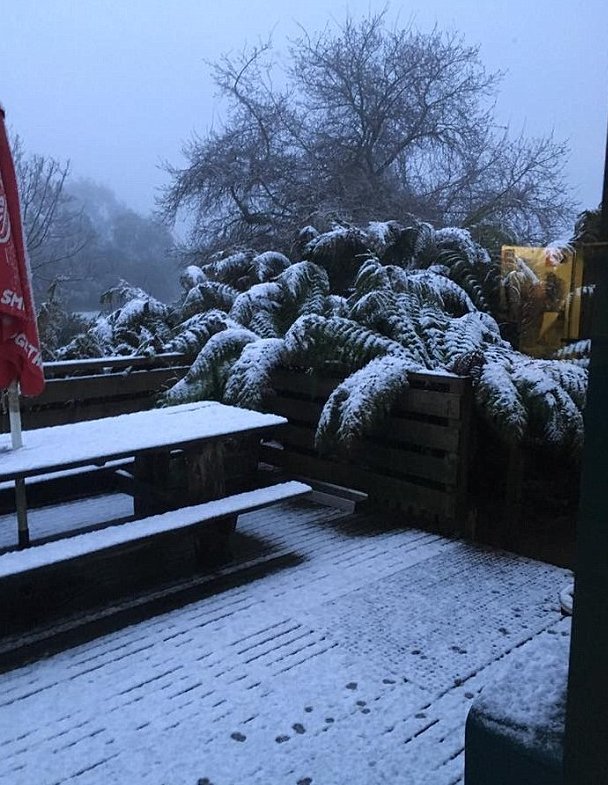 Χιόνισε στην Αυστραλία ένα μήνα πριν το καλοκαίρι - Το πρωινό έκπληξη [εικόνες] | iefimerida.gr 0