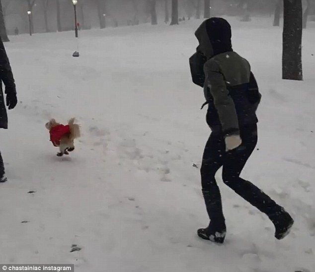 Χολιγουντιανοί σταρ στέλνουν την «καλημέρα» τους από τη χιονισμένη Ν. Υόρκη-Με στιλ ακόμη και στους -5 [εικόνες]  | iefimerida.gr 6