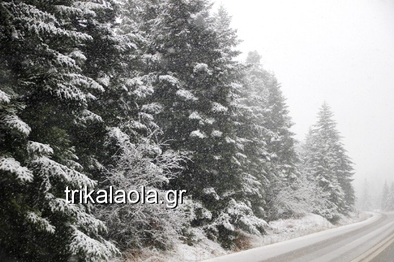 Το έστρωσε για τα καλά στα Τρίκαλα -Ντυμένα στα λευκά [εικόνες] | iefimerida.gr 5