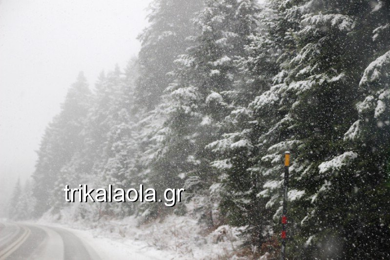 Το έστρωσε για τα καλά στα Τρίκαλα -Ντυμένα στα λευκά [εικόνες] | iefimerida.gr 4
