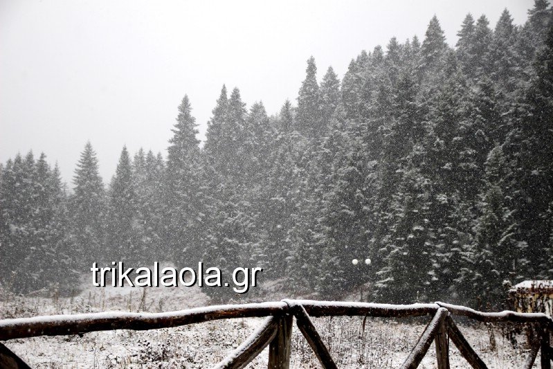 Το έστρωσε για τα καλά στα Τρίκαλα -Ντυμένα στα λευκά [εικόνες] | iefimerida.gr 3