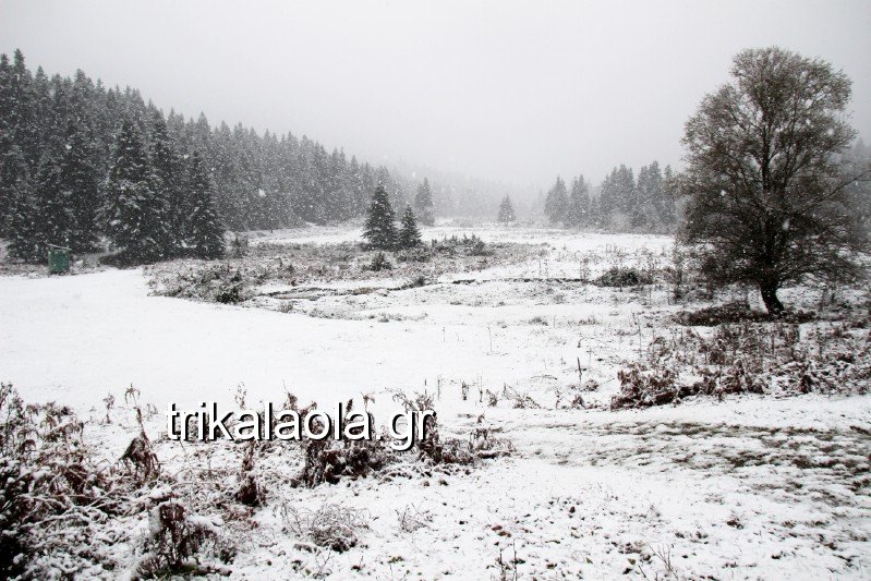 Το έστρωσε για τα καλά στα Τρίκαλα -Ντυμένα στα λευκά [εικόνες] | iefimerida.gr 7